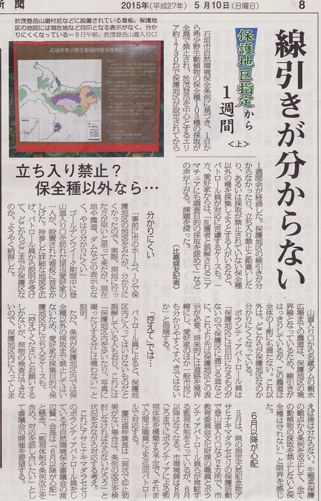 石垣島昆虫採集規制に関する八重山毎日新聞記事（2015年5月10日～11日）