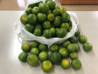 大宜味産シークヮサー 大宜味産シークヮサー