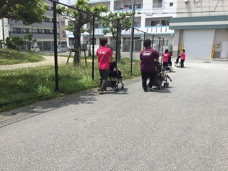お散歩 お散歩