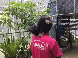 観光スポット発見 観光スポット発見