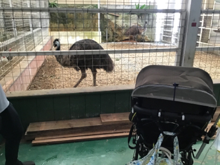 ミニミニ動物園 ミニミニ動物園