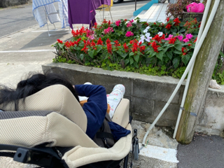 お花 お花
