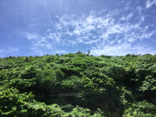 雲 雲