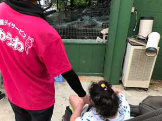 ミニミニ動物園 ミニミニ動物園