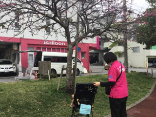 桜み〜つけた! 桜み〜つけた!