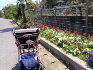 お散歩 お散歩