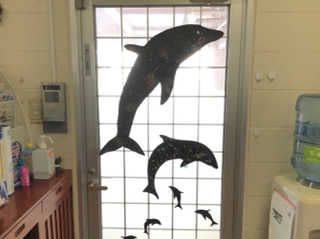 ゆうわにイルカがやって来た! ゆうわにイルカがやって来た!