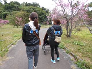 春を感じてきました 春を感じてきました
