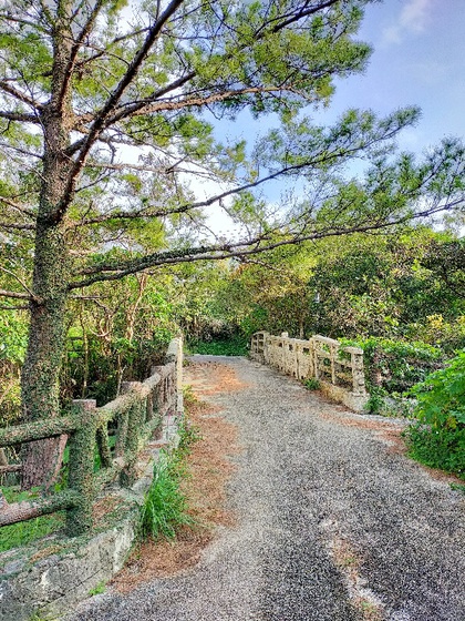 ★首里城で鳥と戯れた後は、金城ダム付近で虹が見れた ★首里城で鳥と戯れた後は、金城ダム付近で虹が見れた