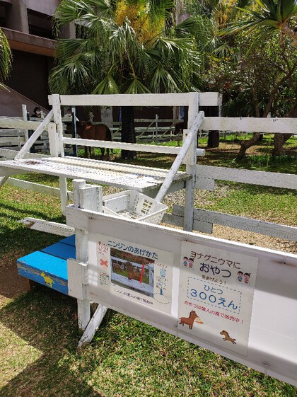 ★沖縄のみち自転車道を通って「食堂はれのち」カフェ?でランチ ★沖縄のみち自転車道を通って「食堂はれのち」カフェ?でランチ