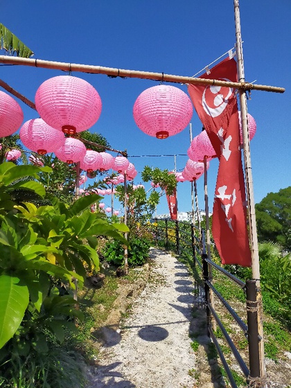 ★休日のウォーキング(奥武山公園)2 ★休日のウォーキング(奥武山公園)2