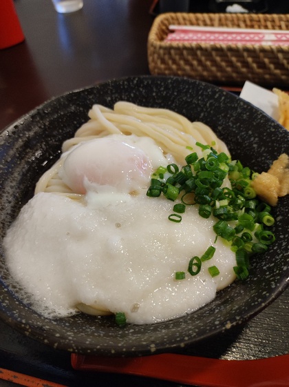 ★猛暑のランチは、冷たいうどんが食べたくなる ★猛暑のランチは、冷たいうどんが食べたくなる
