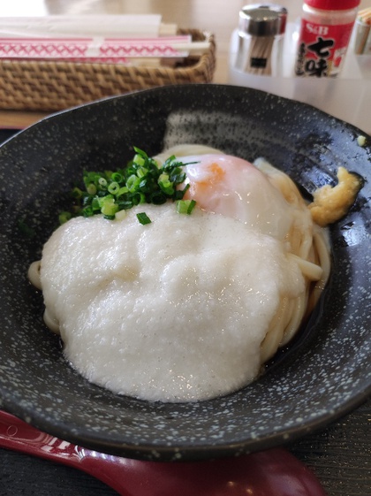 ★たまには軽めに月見とろろうどんランチ ★たまには軽めに月見とろろうどんランチ