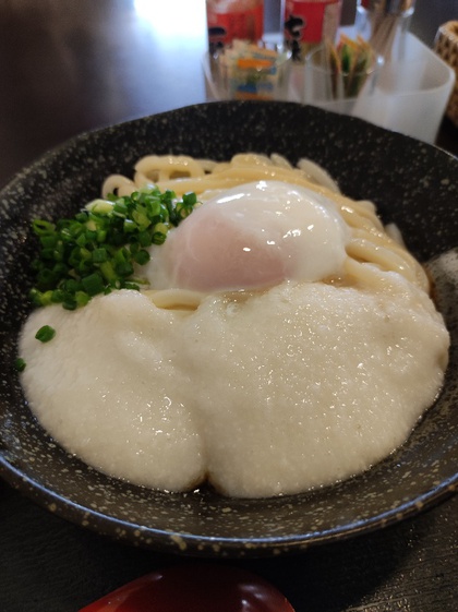 ★久しぶりに月見とろろうどんを食べた ★久しぶりに月見とろろうどんを食べた