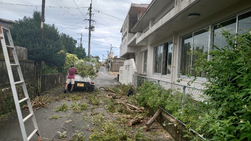 雨の中 雨の中