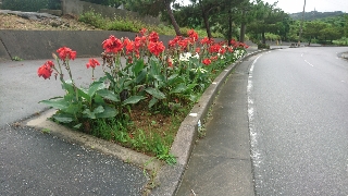 気持ちいいね 気持ちいいね