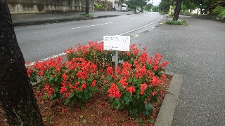 気持ちいいね 気持ちいいね