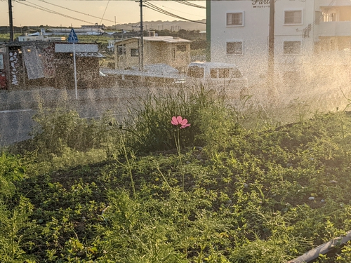早くも 早くも