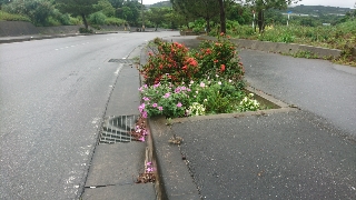 気持ちいいね 気持ちいいね