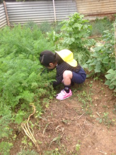 初登園♪