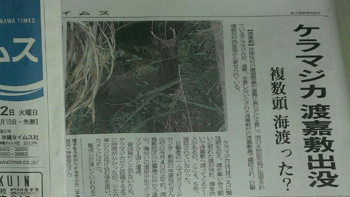 自由と安住の地を求めて 自由と安住の地を求めて