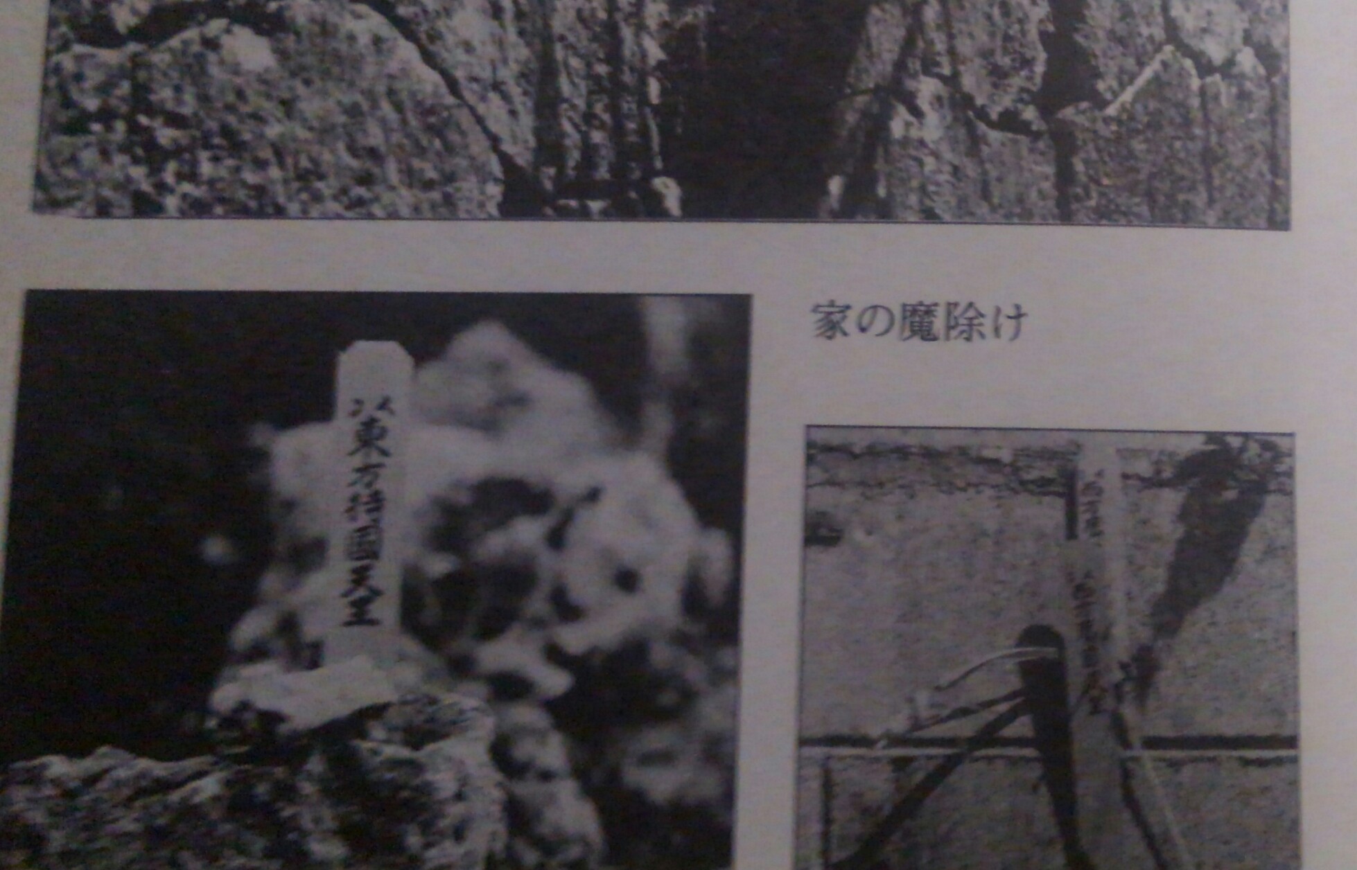 マジムンの封印 マジムンの封印