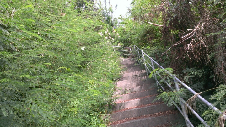 初飛行 初飛行