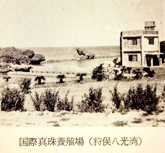 第66回 「人頭税廃止100周年記念碑」 第66回 「人頭税廃止100周年記念碑」