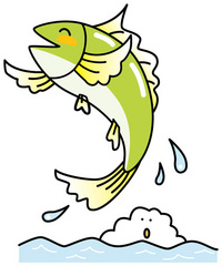 とことん生きる 2008/08/13 08:45:26