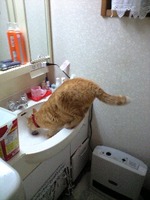 たけしぃ