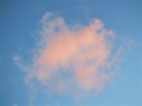夢のﾆﾁｮﾅｲﾄ♡｡+.ﾟ