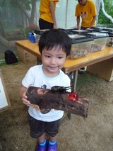 昆虫展!