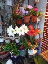 2月の出来事④!