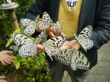 ちょう園で・・!