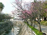 与儀公園!