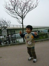 漫湖公園!