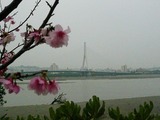 漫湖公園!