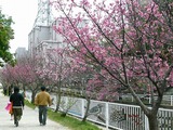 また与儀公園!