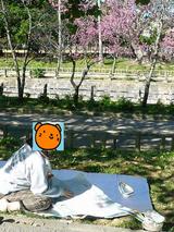 またまた与儀公園!