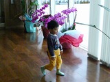 お見舞いに!
