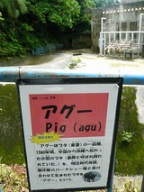 こどもの国①!