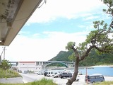 ダイビング ①