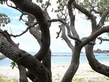 ダイビング ①