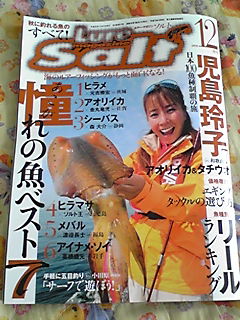2008年11月03日