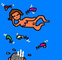 2008年11月20日