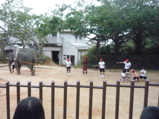 楽しんだ~♪