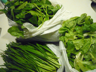 新鮮野菜