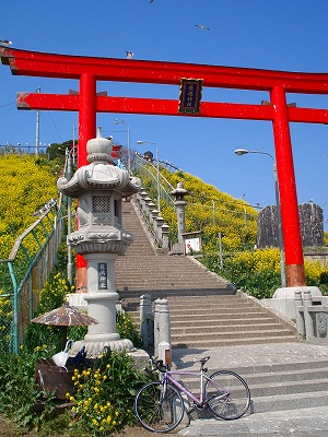 蕪島・種差サイクリング