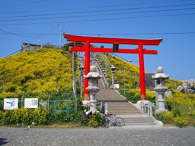蕪島・種差サイクリング