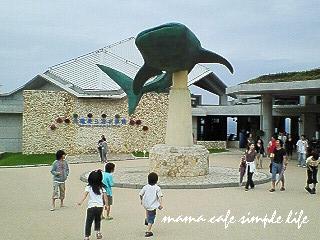 *美ら海水族館